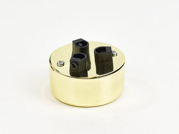 Steel Conduit Box Ceiling Rose | Multi Outlet | Gold chrome - Vendimia Lighting Co.