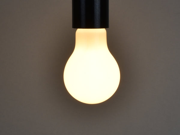 B22 LED Filament Bulb | A19 | Milky - Vendimia Lighting Co.