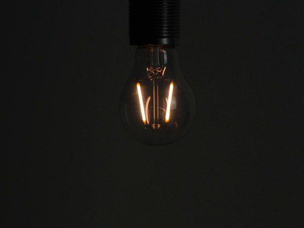 LED Vintage Filament Bulb | A19 | Squirrel Cage - Vendimia Lighting Co.